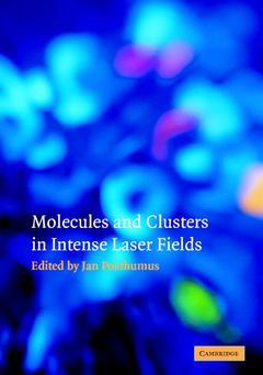 Couverture de l’ouvrage Molecules and Clusters in Intense Laser Fields