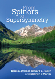 Couverture de l’ouvrage From Spinors to Supersymmetry
