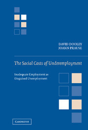 Couverture de l’ouvrage The Social Costs of Underemployment