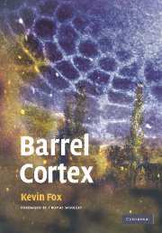 Cover of the book Barrel Cortex