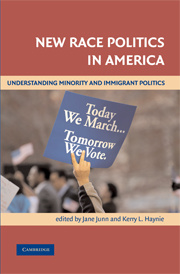 Cover of the book New Race Politics in America