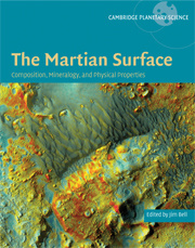 Couverture de l’ouvrage The Martian Surface