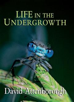 Cover of the book Life in the Undergrowth