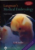 Couverture de l’ouvrage Langman's medical embryology, with Simbryo CD-ROM