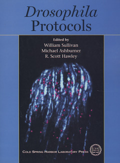 Couverture de l’ouvrage Drosophila protocols (paper)