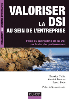 Couverture de l’ouvrage Valoriser la DSI au sein de l'entreprise. Faire du marketing de la DSI un levier de performance