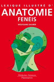 Couverture de l’ouvrage Lexique illustré d'anatomie FENEIS