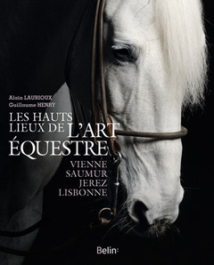Cover of the book Les hauts lieux de l'art équestre