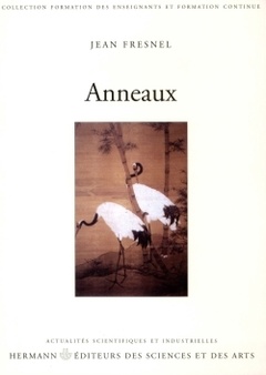 Cover of the book Anneaux
