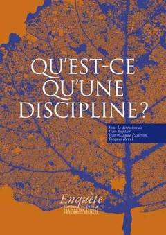 Couverture de l’ouvrage Qu'est-ce qu'une discipline ?