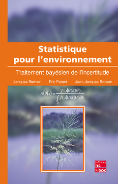 Cover of the book Statistique pour l'environnement 