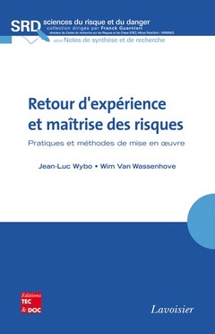 Cover of the book Retour d'expérience et maîtrise des risques