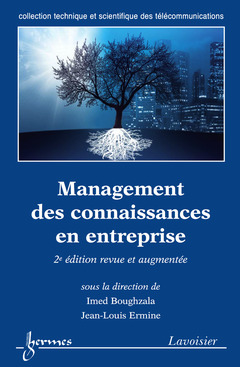 Cover of the book Management des connaissances en entreprise