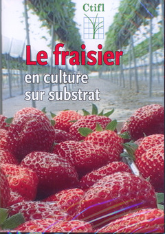 Couverture de l’ouvrage Le fraisier en culture sur substrat (DVD en 5 langues : Anglais, Français, Marocain, Polonais, Portugais)