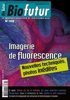 Couverture de l'ouvrage Biofutur N° 308-Imagerie de fluorescence Nouvelles techniques, photos inédites (Mars 2010)
