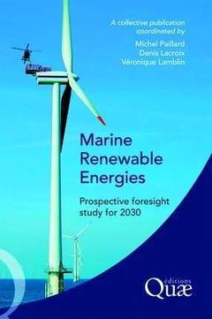 Cover of the book Marine Renewable Energies