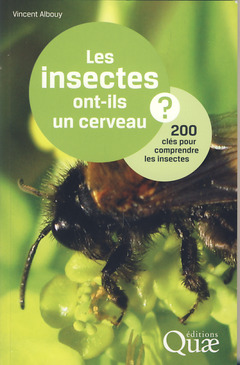 Cover of the book Les insectes ont-ils un cerveau ?