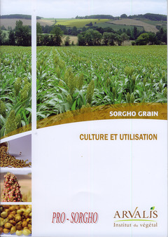 Couverture de l’ouvrage Culture et utilisation. Sorgho grain 