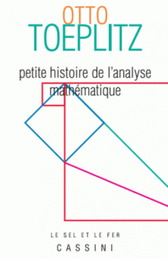 Cover of the book ABAND*Petite histoire de l'analyse mathématique