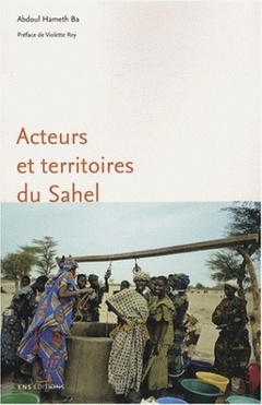 Couverture de l’ouvrage Acteurs et territoires du Sahel - rôle des mises en relation dans la recomposition des territoires