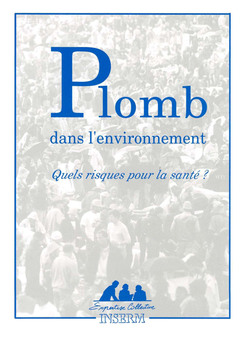 Cover of the book Plomb dans l'environnement quels risques pour la santé ?