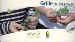 Cover of the book Grille de diagnostic des accidents du pois protéagineux