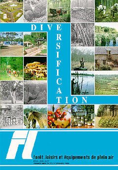 Cover of the book Diversification 