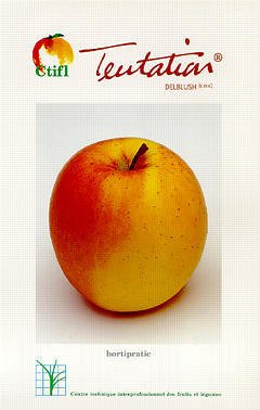 Cover of the book Tentation : Delblush