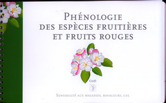 Couverture de l’ouvrage Phénologie des espèces fruitières et fruits rouges: sensibilité aux maladies, ravageurs, gel