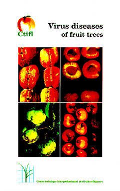 Couverture de l’ouvrage Virus diseases of fruit trees