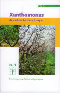 Cover of the book Xanthomonas des arbres fruitiers à noyau