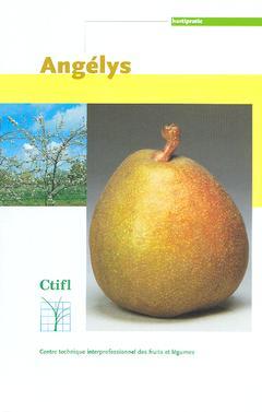 Cover of the book Angélys