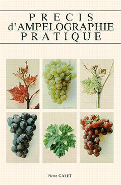 Cover of the book Précis d'ampélographie pratique