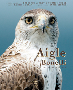 Couverture de l’ouvrage AIGLE DE BONELLI - MEDITERRANEEN MECONNU
