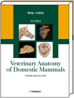 Couverture de l’ouvrage Veterinary anatomy of domestic mammals