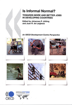 Couverture de l’ouvrage L'emploi informel dans les pays en voie de développement
