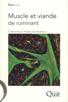 Cover of the book Muscle et viande de ruminant