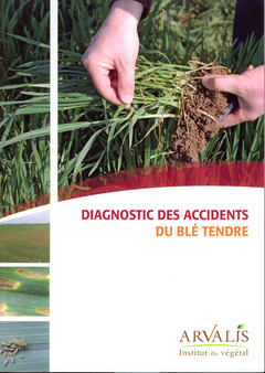 Couverture de l’ouvrage Diagnostic des accidents du blé tendre (réf. 9703)
