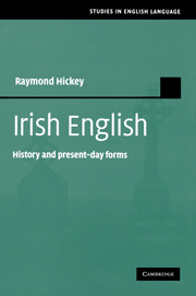 Couverture de l’ouvrage Irish English
