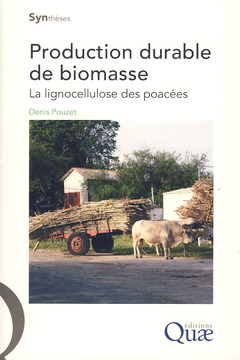 Couverture de l’ouvrage Production durable de biomasse