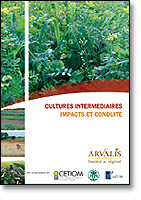 Cover of the book Cultures intermédiaires : Impacts et conduite