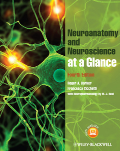 Couverture de l’ouvrage Neuroanatomy and neuroscience at a glance