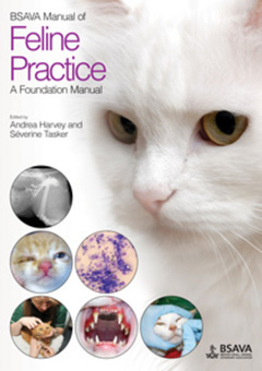 Couverture de l’ouvrage BSAVA Manual of Feline Practice