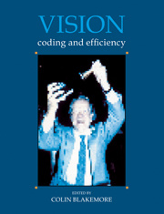 Cover of the book Vision : coding and efficiency (Paper)
