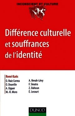 Couverture de l’ouvrage Différence culturelle et souffrances de l'identité