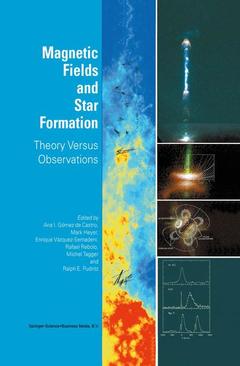 Cover of the book Magnetic Fields and Star Formation