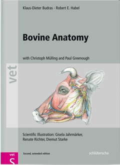 Couverture de l’ouvrage Bovine anatomy