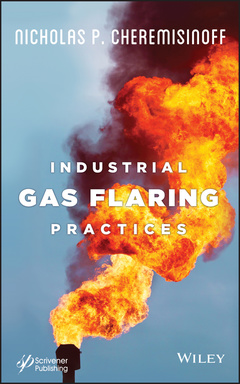 Cover of the book Industrial Gas Flaring Practices