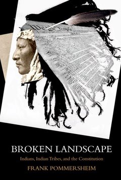 Cover of the book Broken Landscape