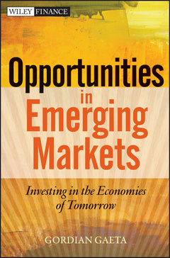 Couverture de l’ouvrage Developing market investing: uncovering opportunities in emerging markets (hardback)